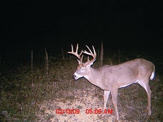 Property photo 12 - 1974 Acres in 23 Tracts Located in Christian, Hopkins & Edmonson County, Kentucky